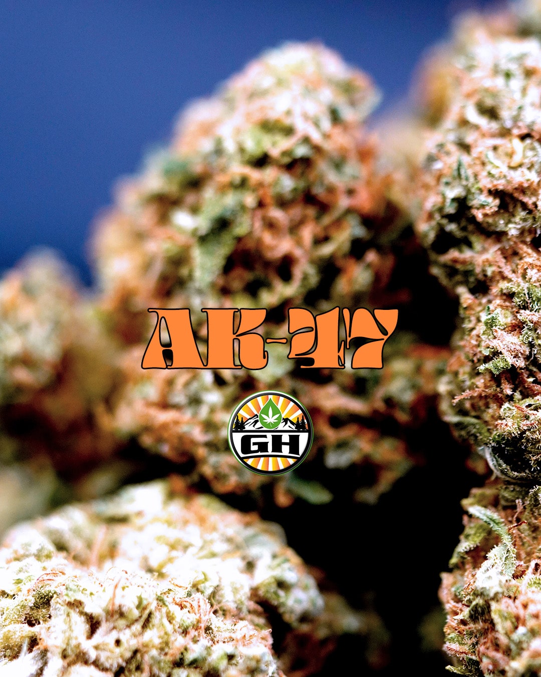 AK-47 Savtiva from GH Labs