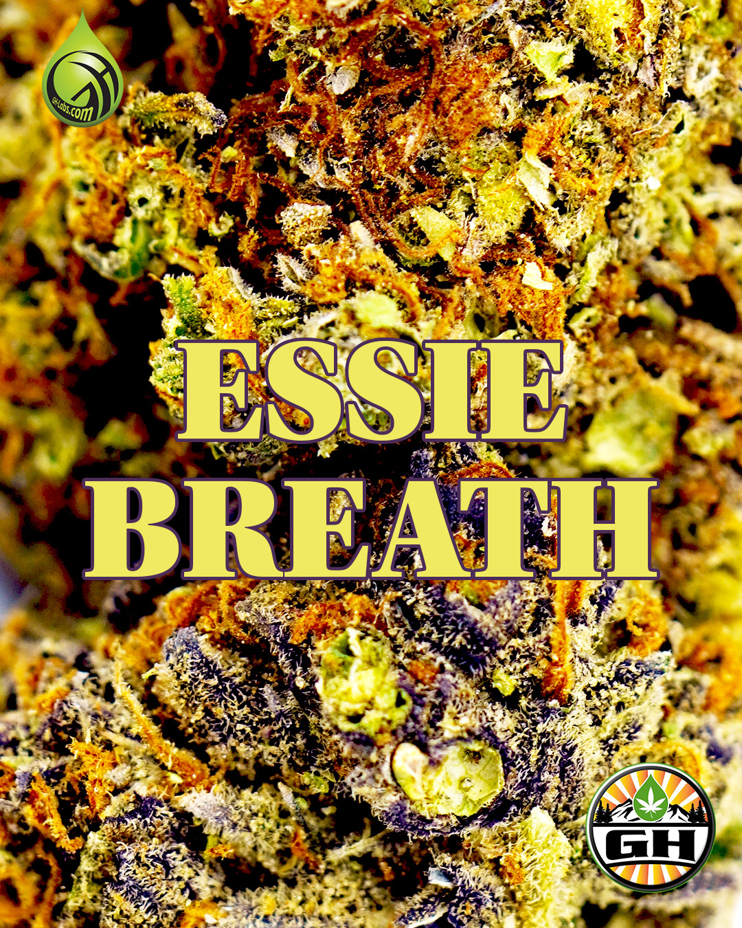 Introducing Essie Breath Indica