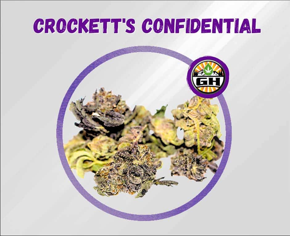 Crockett's Confidential - Indica